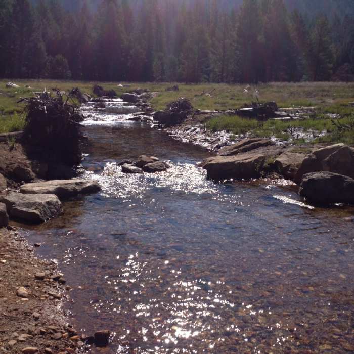 Near Star Lake Trail