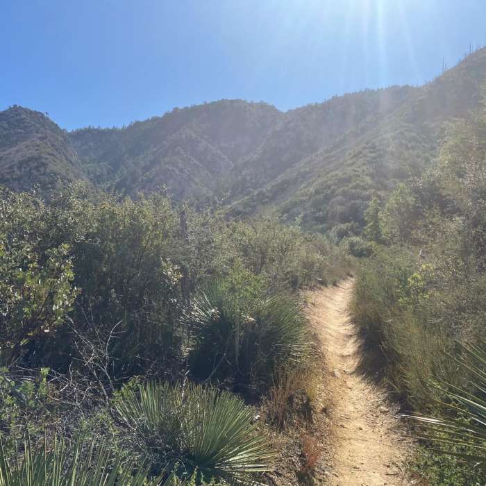 Near San Gabriel Marathon Loop Near San Gabriel Marathon Loop