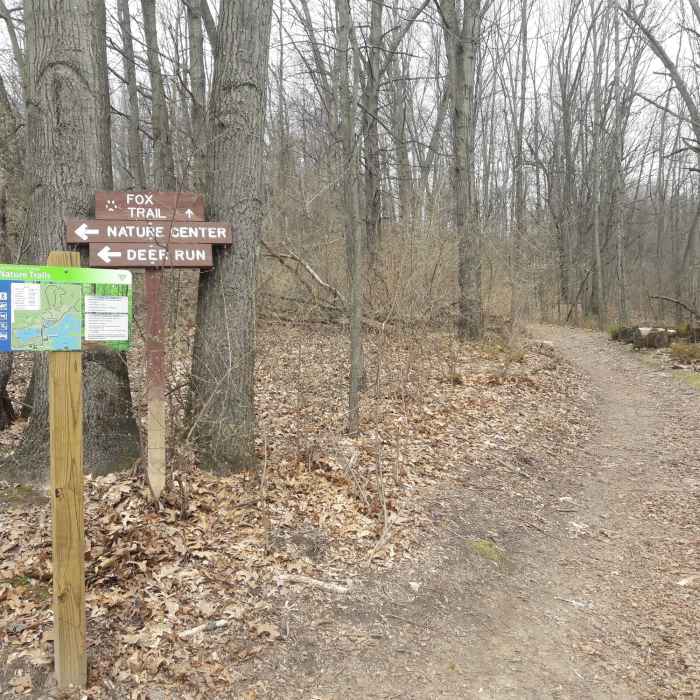 Near Chickadee Trail