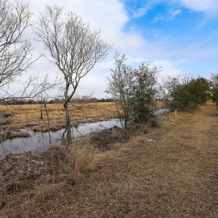 Near White Lake Wetlands Conservation Area Birding + Nature Trail