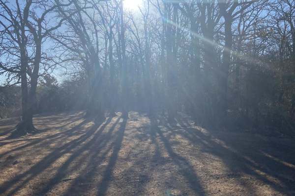 Sumac trail