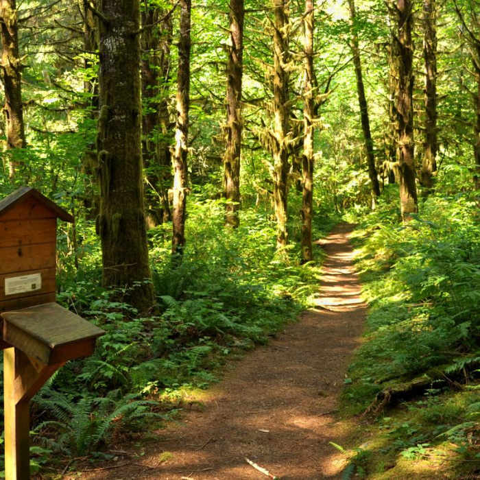 Near South Baker Lake Trail