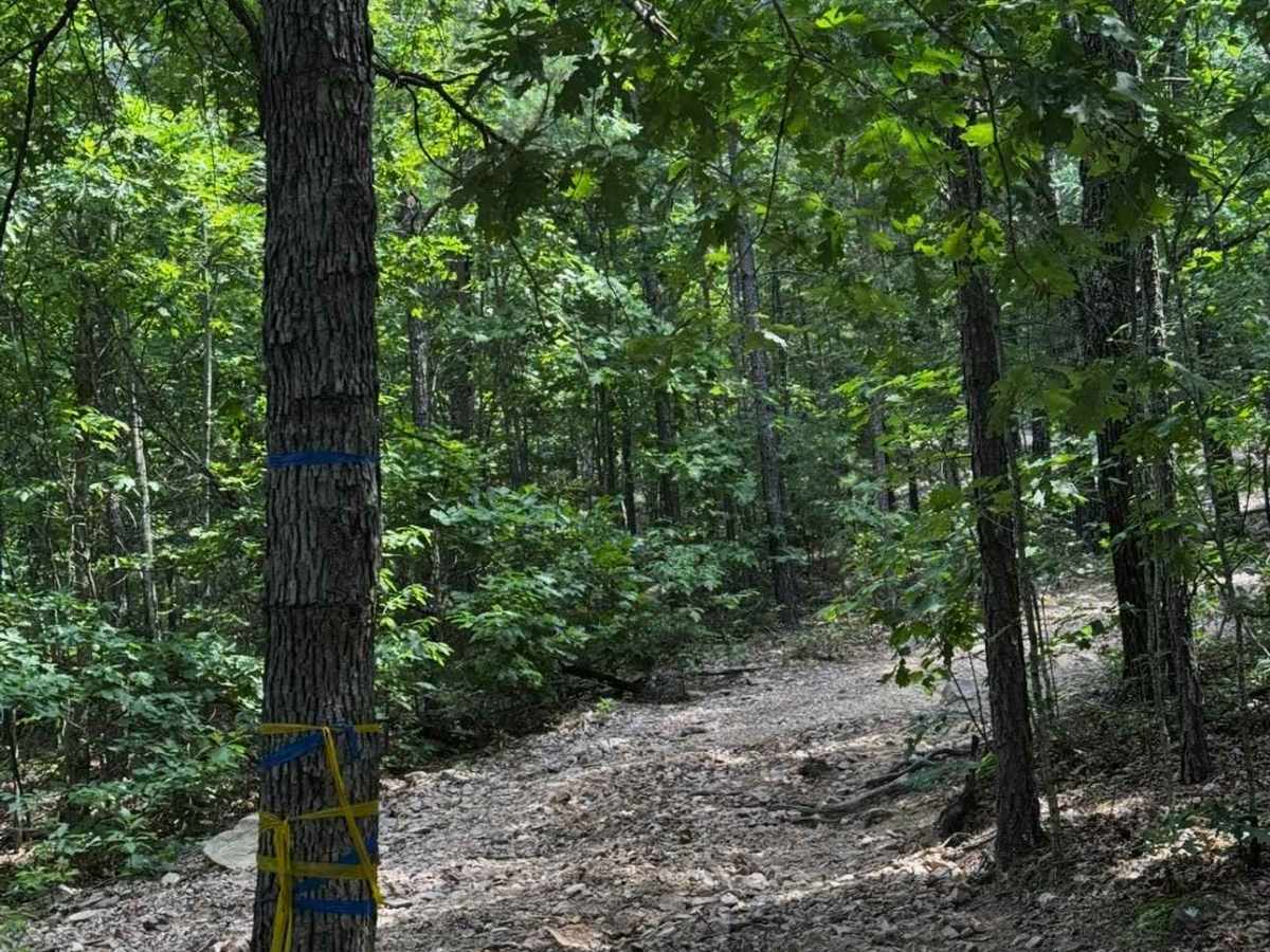 Southern Spur trail photo