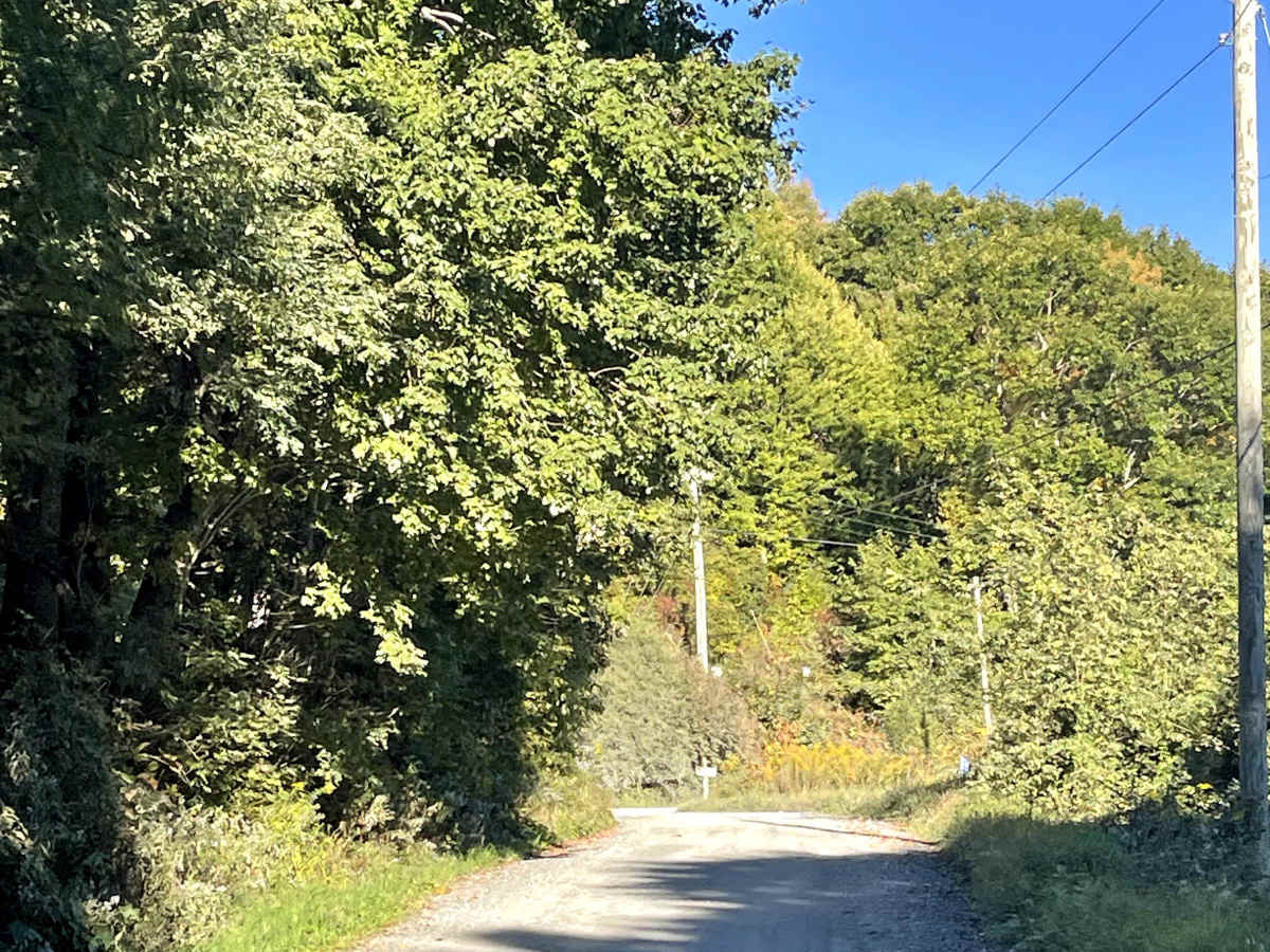 Andy Hicks Road photo 4