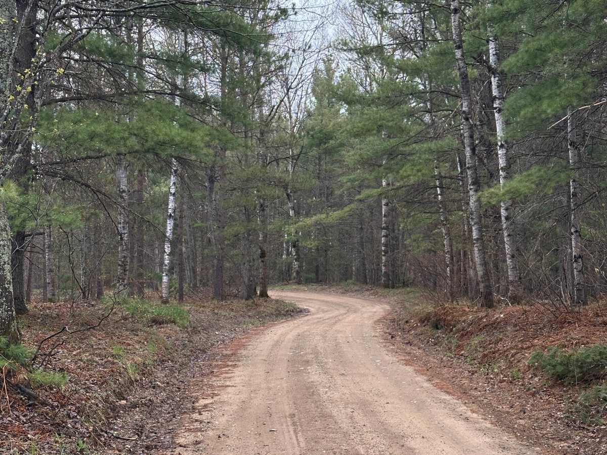 AuSable Loop photo 3