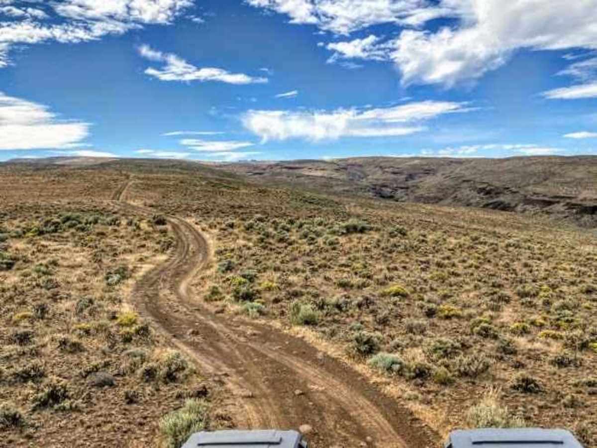 Jackknife Ridge Road photo 3