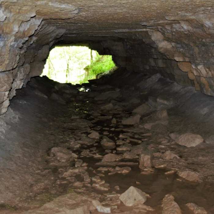Near Clifty Falls State Park Loop