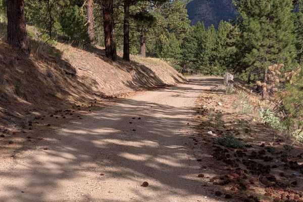 Mineral Hill Road - FS 3700-520