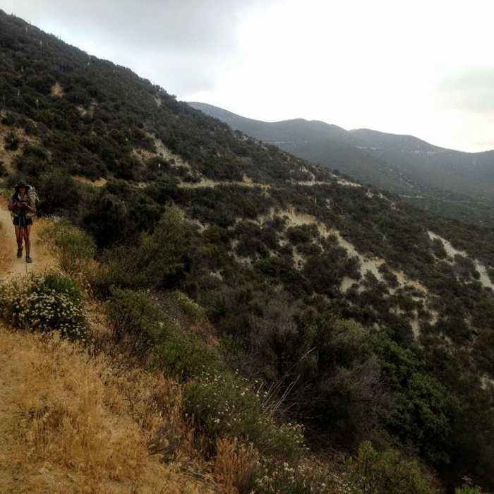 Near Leona Divide Loop