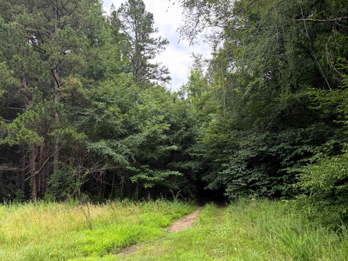 Peters Branch Boulevard trail photo