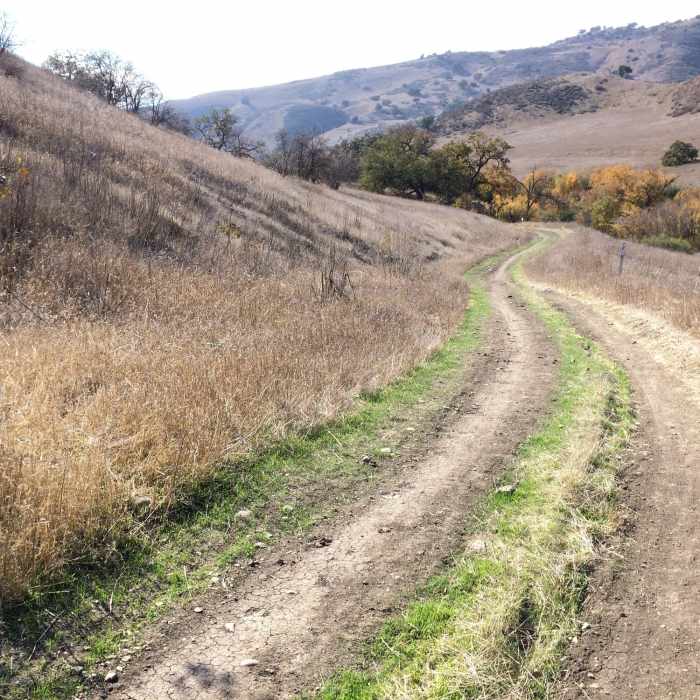 Near East Las Virgenes Canyon Trail