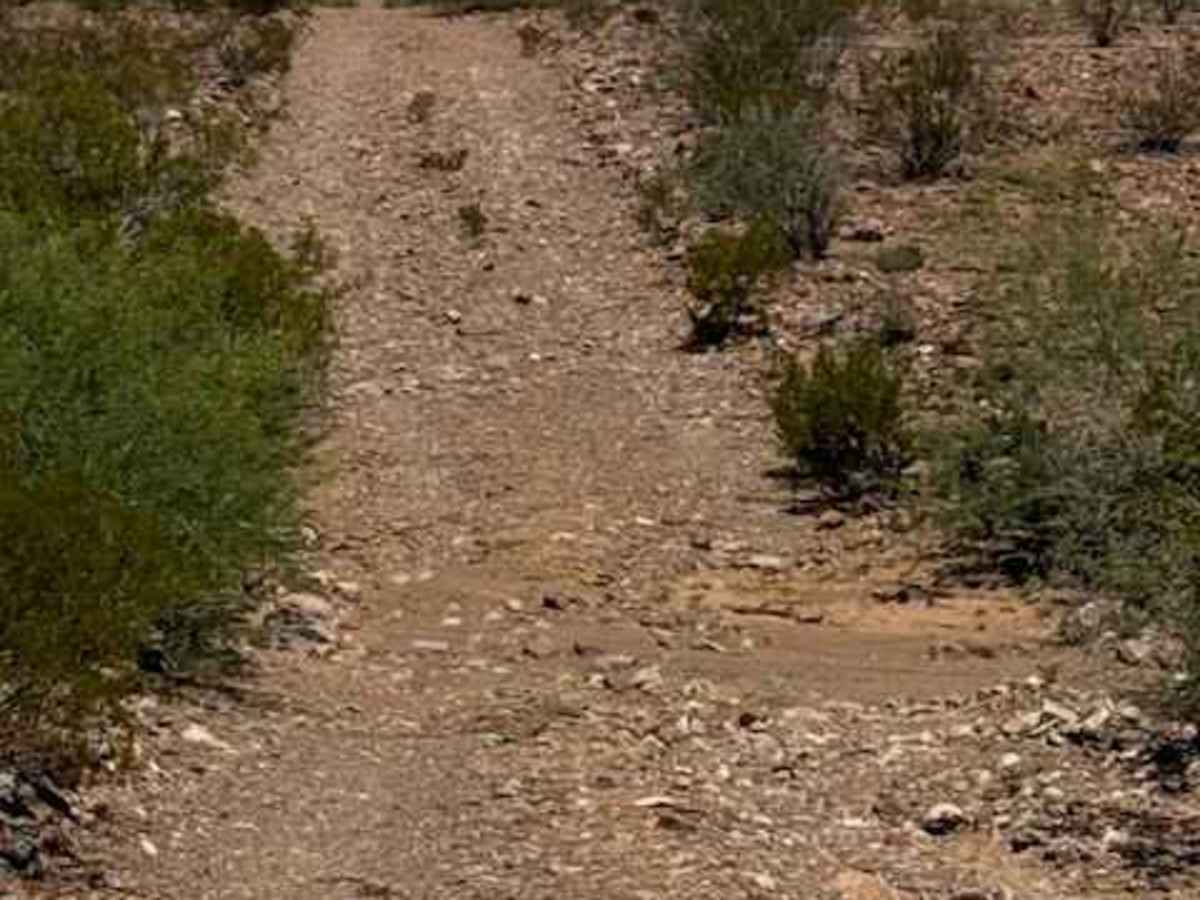 BLM PE1122 photo 4