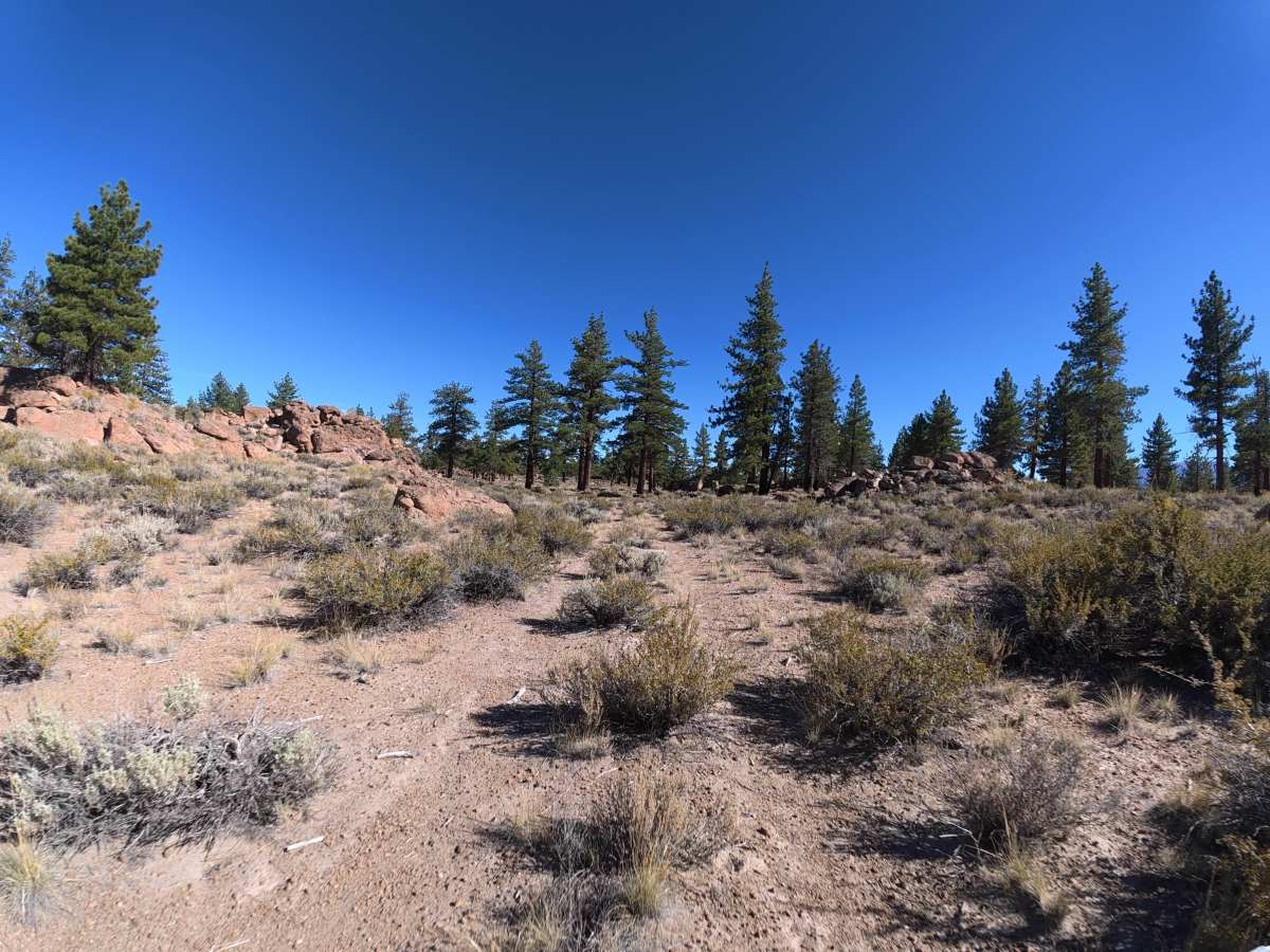 FS 3S54B trail photo