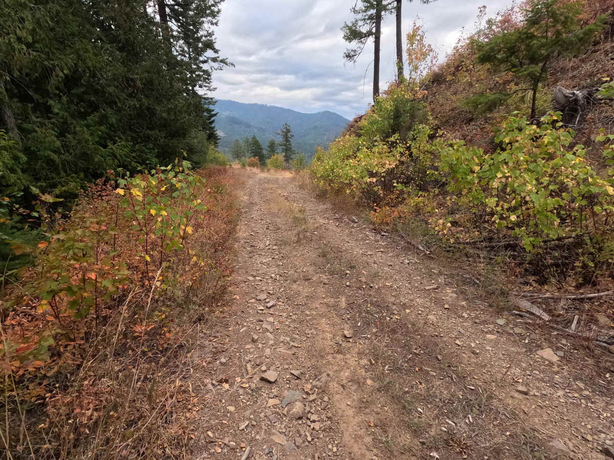 Kings Mountain - FS 5032350 photo 6
