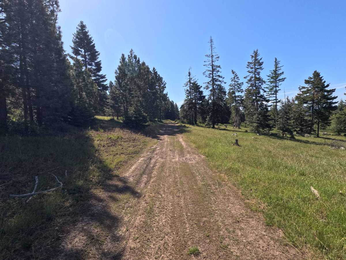 Vaca Loop - Trail 204 photo 2
