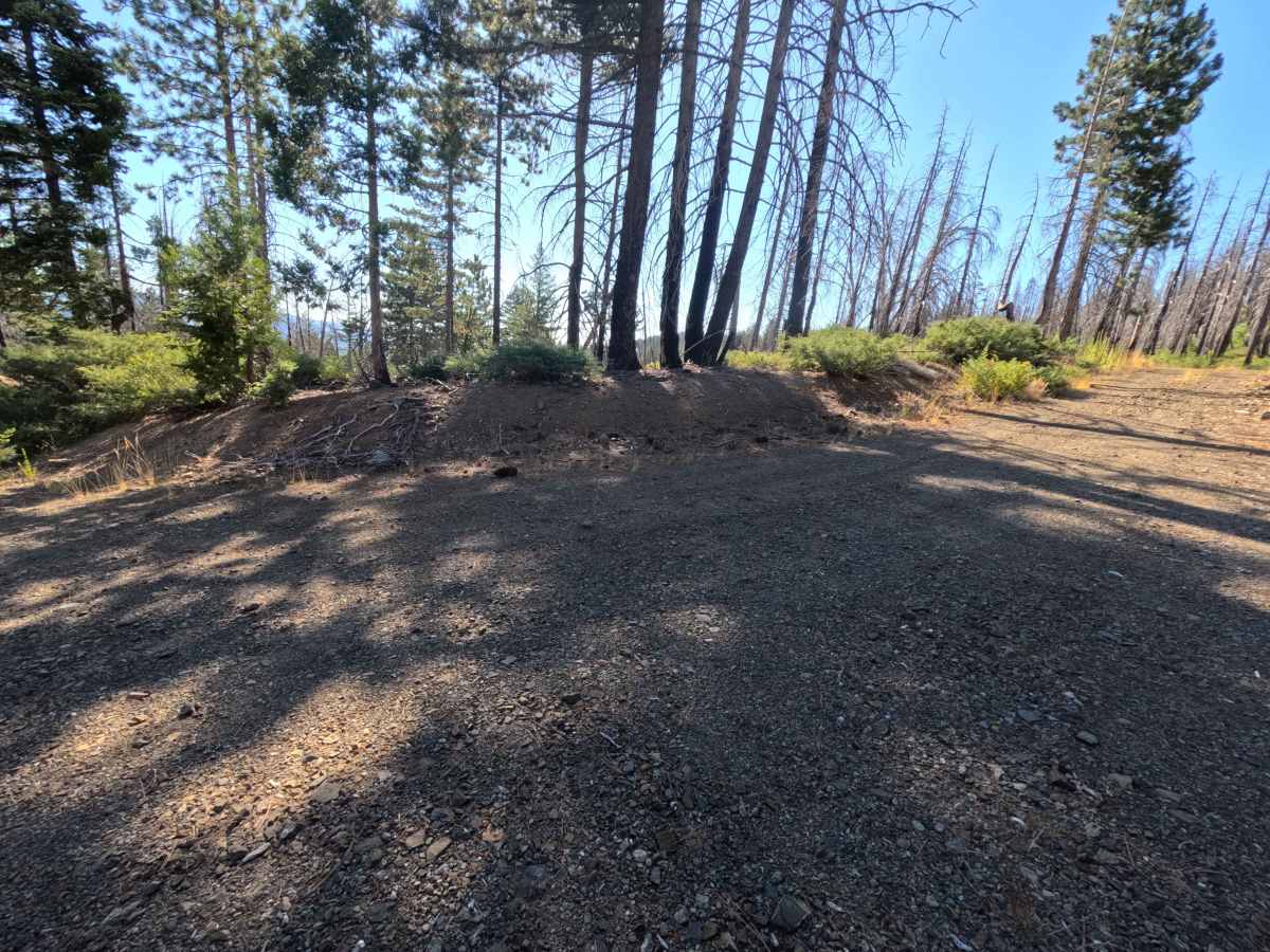 East Government Creek - FS 23N27 photo 6