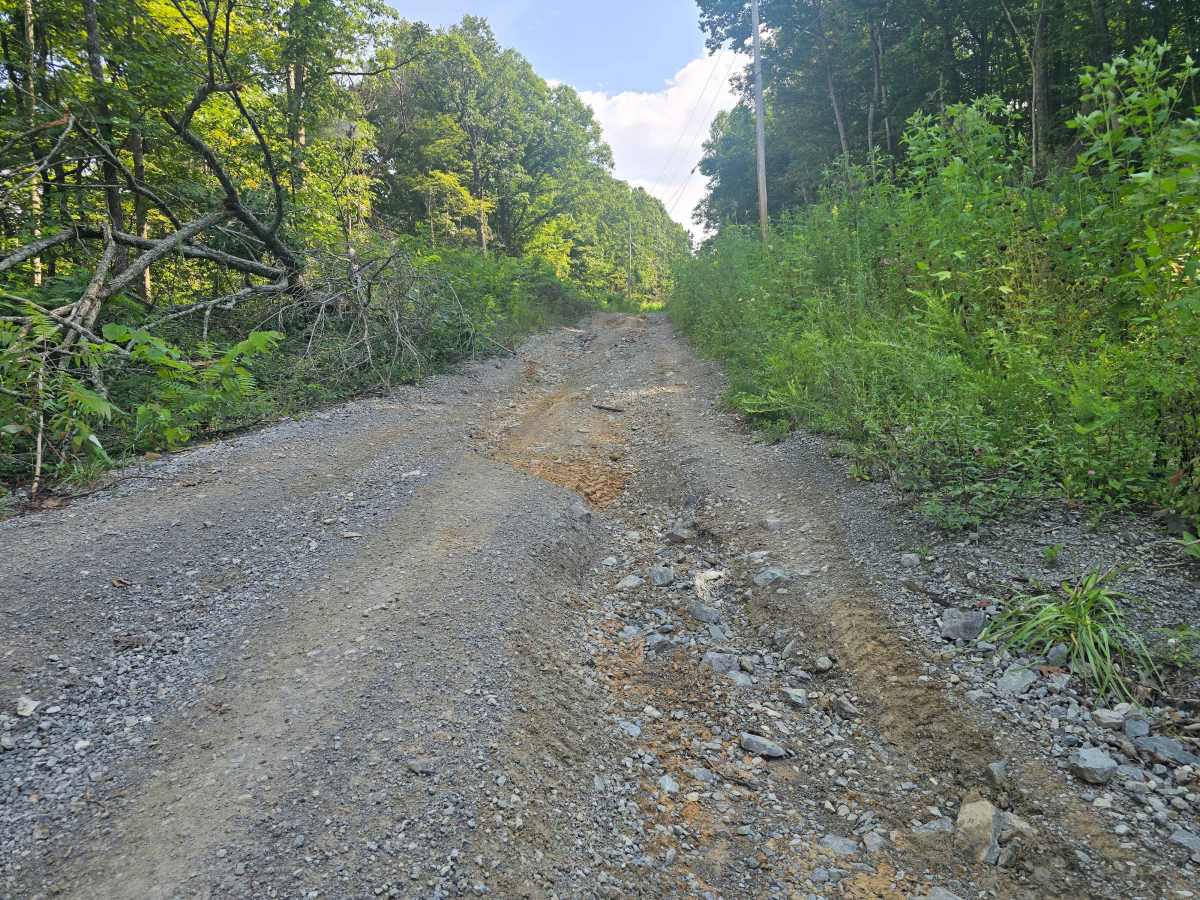 Pine Mountain Road photo 5