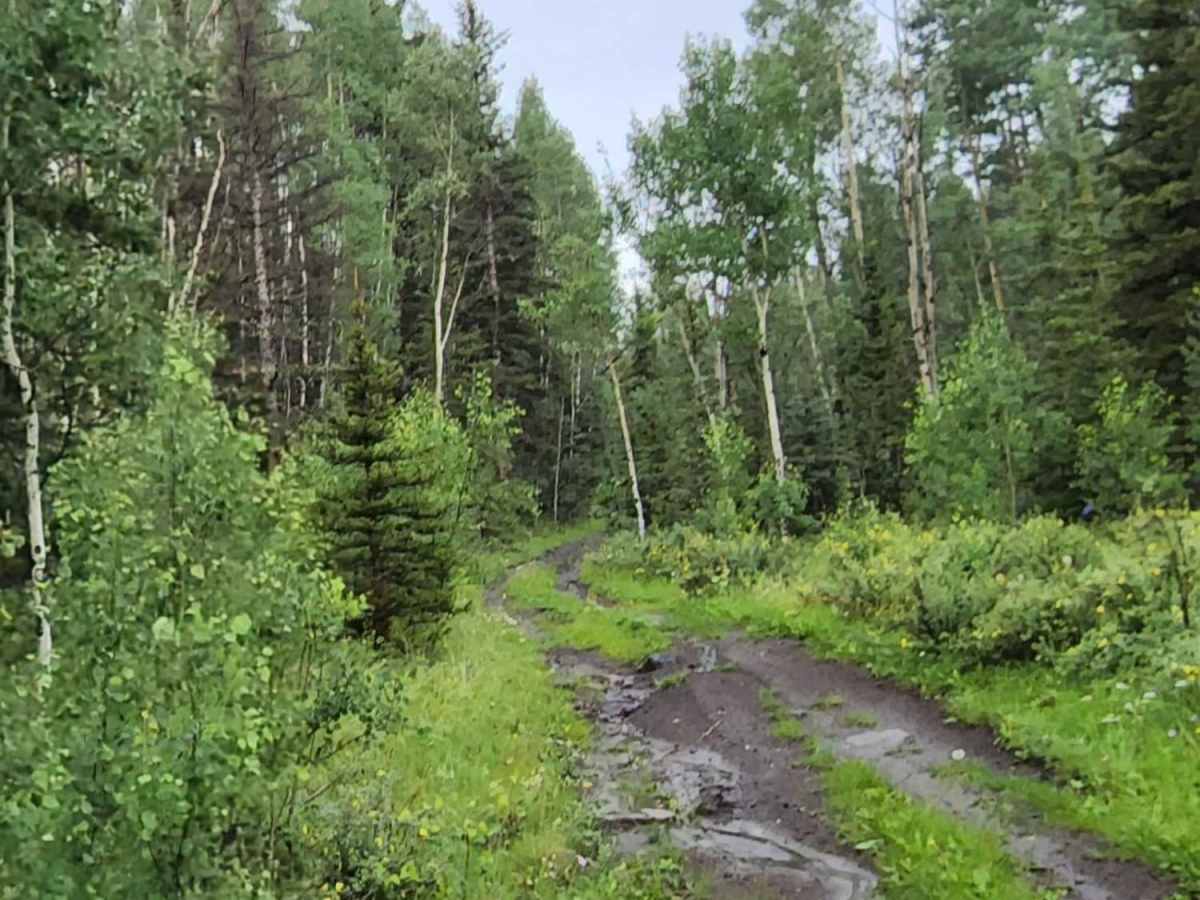 Lake Mountain photo 3