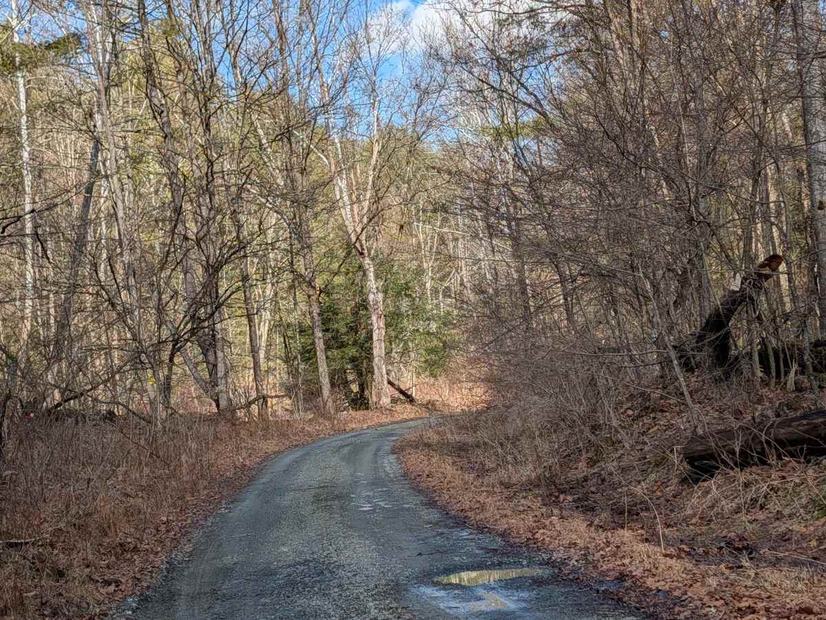 Stone Jug Road photo 2
