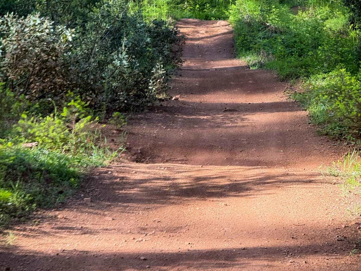 202 trail photo