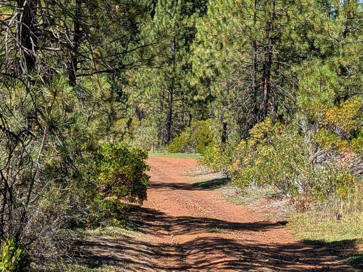 Bear Wallow East - FS 40N12 photo 3