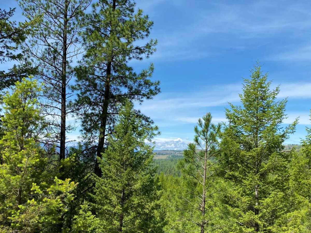 Quartz Mountain photo 6