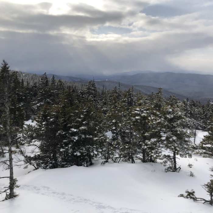 Peak of Mount Israel via Wentworth Trail Near Wentworth Trail