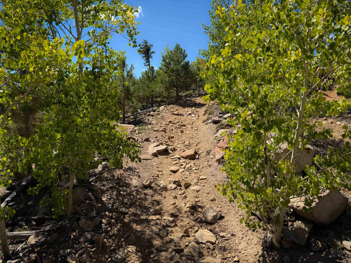 Trail 735 photo 3