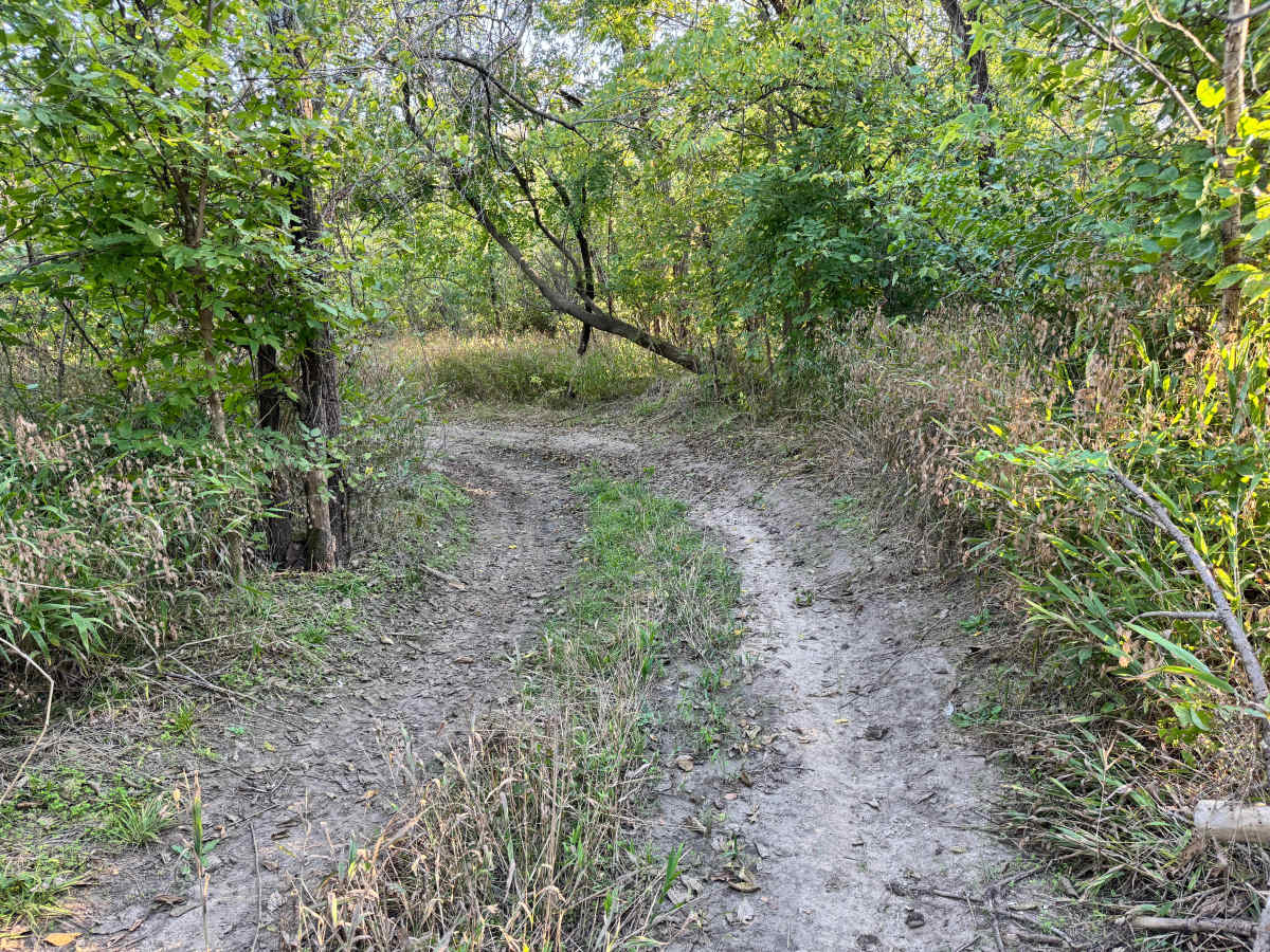 Shade Tree Lane photo 2