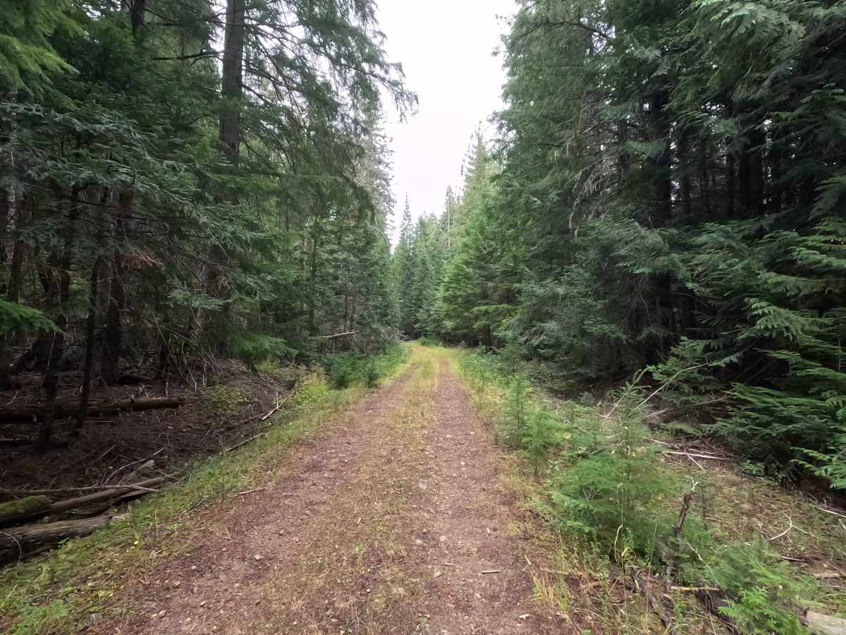 Flat Creek - FS 1095 photo 2