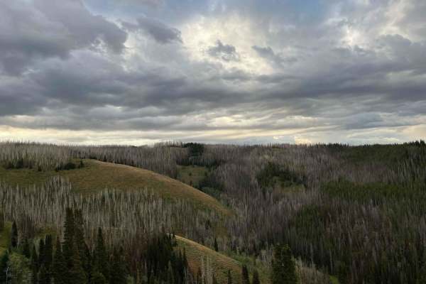 East Fork Ridge