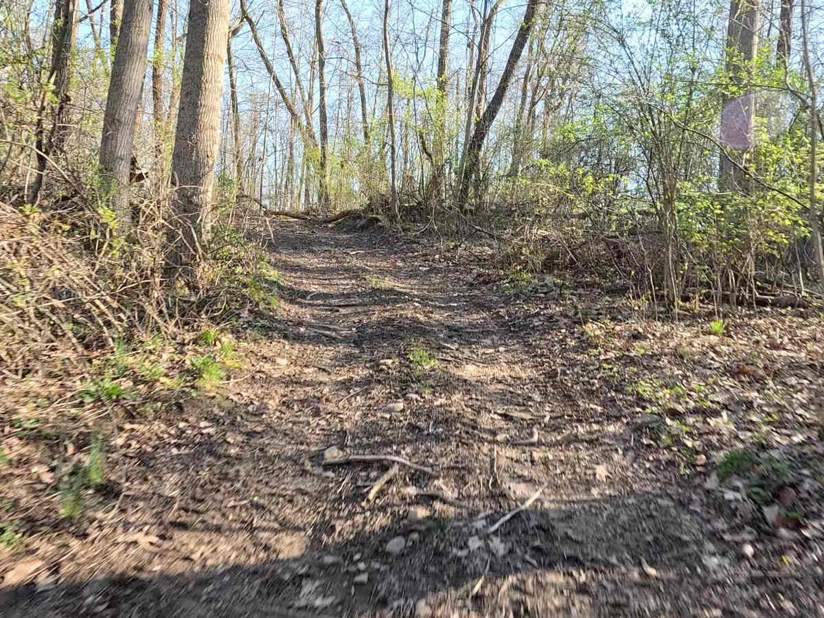 Members Only Trail 3 trail photo