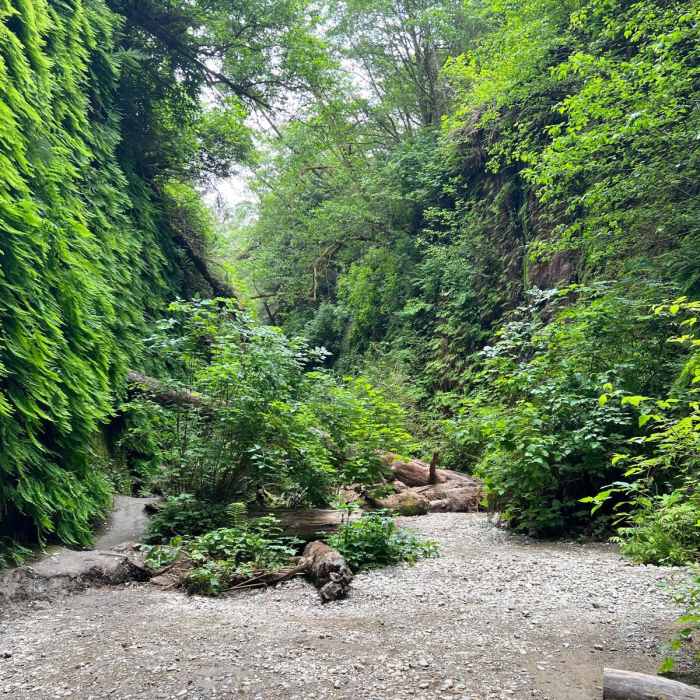 Near Fern Canyon Loop