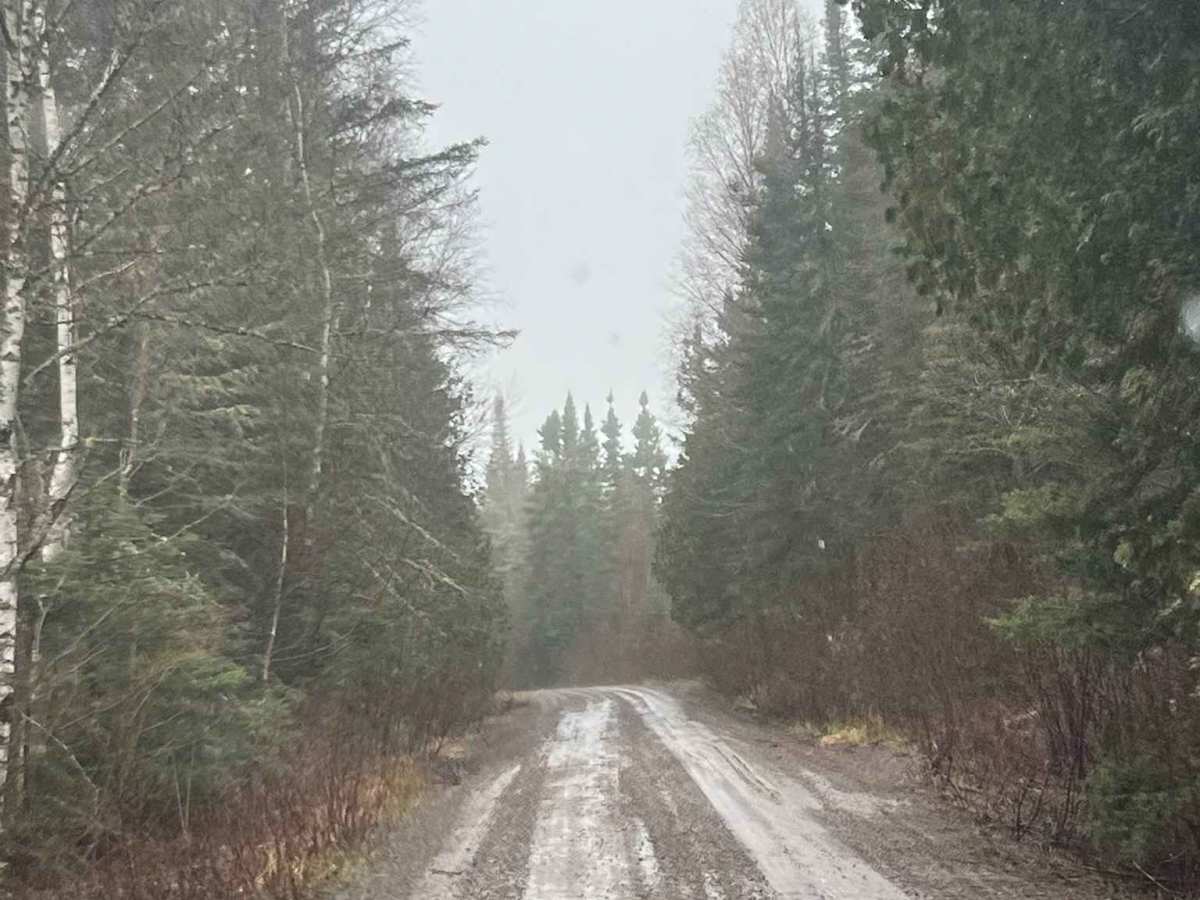 Ball Club Lake Road photo 6