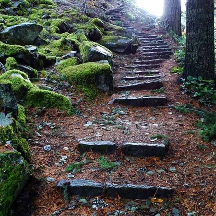 Near Laurel Hill Chute Trail #795A
