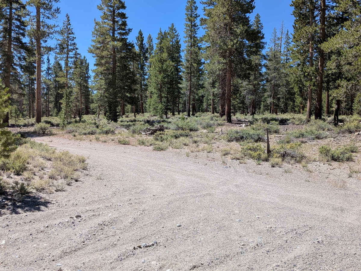 Forest Service Road 1S133 photo 2