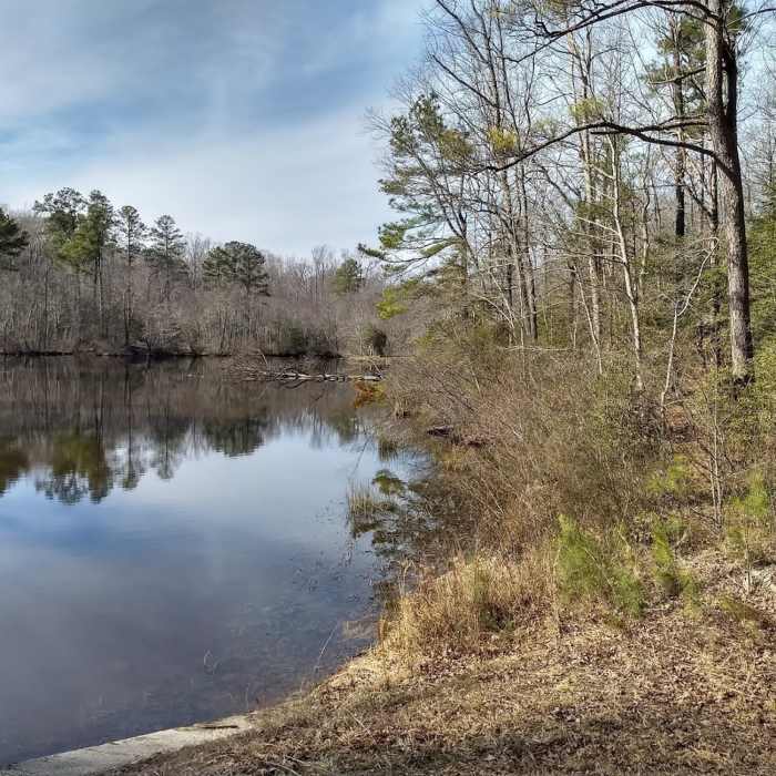 Near Bright Hope Trail and Otter Lick Loop