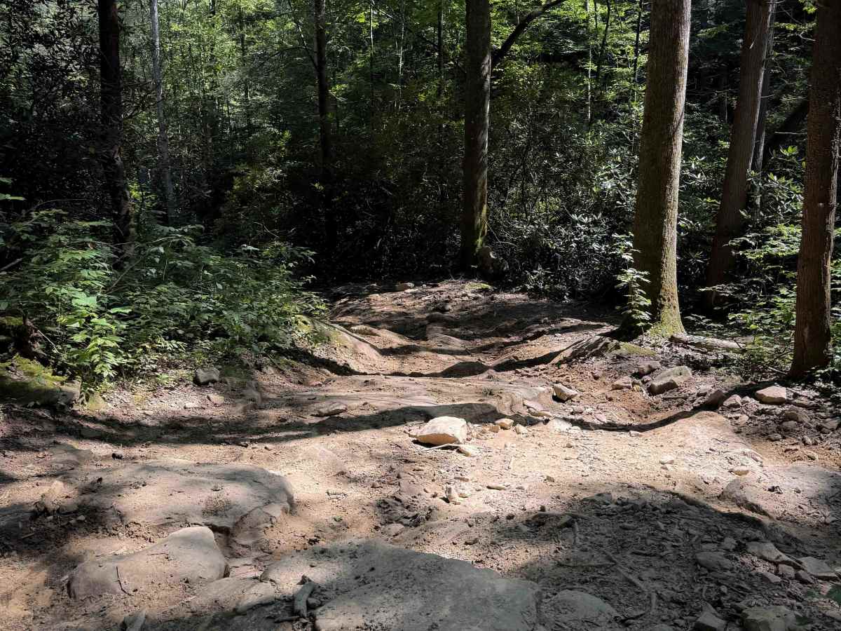 Pond Ridge  photo 2