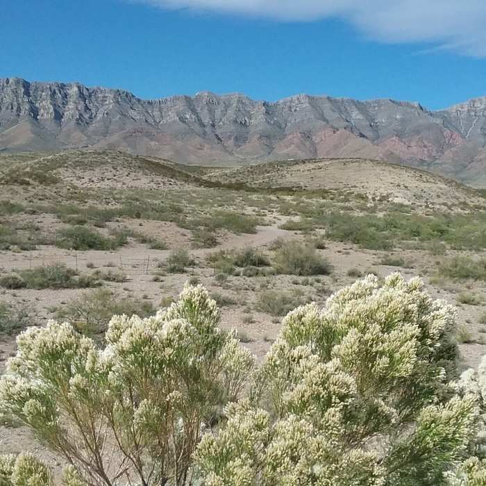 Near North Hills Dam Trail