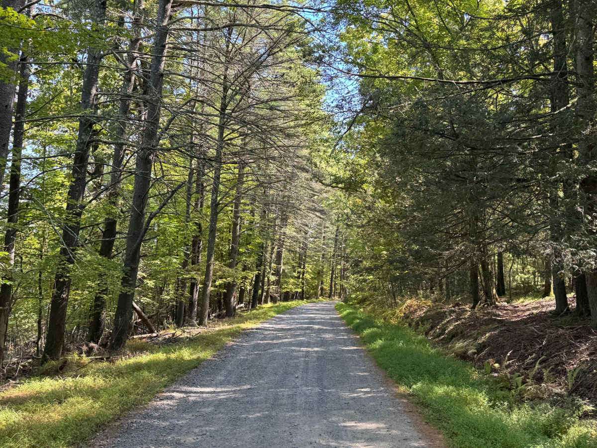 Box Baum Road photo 3