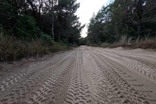 Coast Guard OHV South Trail - 1343