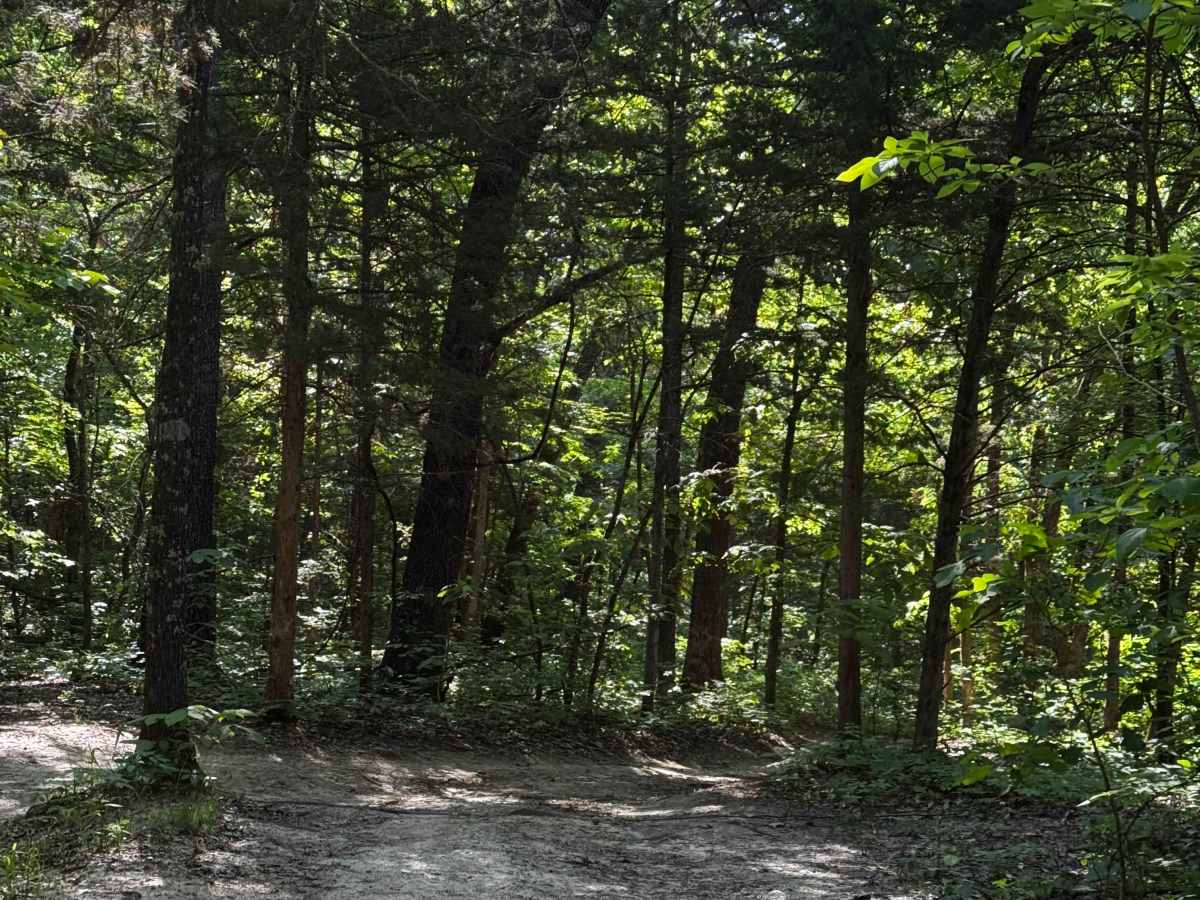 Inner Track 7 photo 3