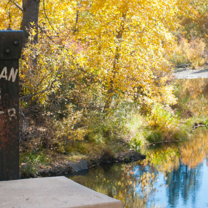 Near Hobo Camp/South Side Connector - a really fun, narrow trail that twists and turns towards the rim of the Susan River.