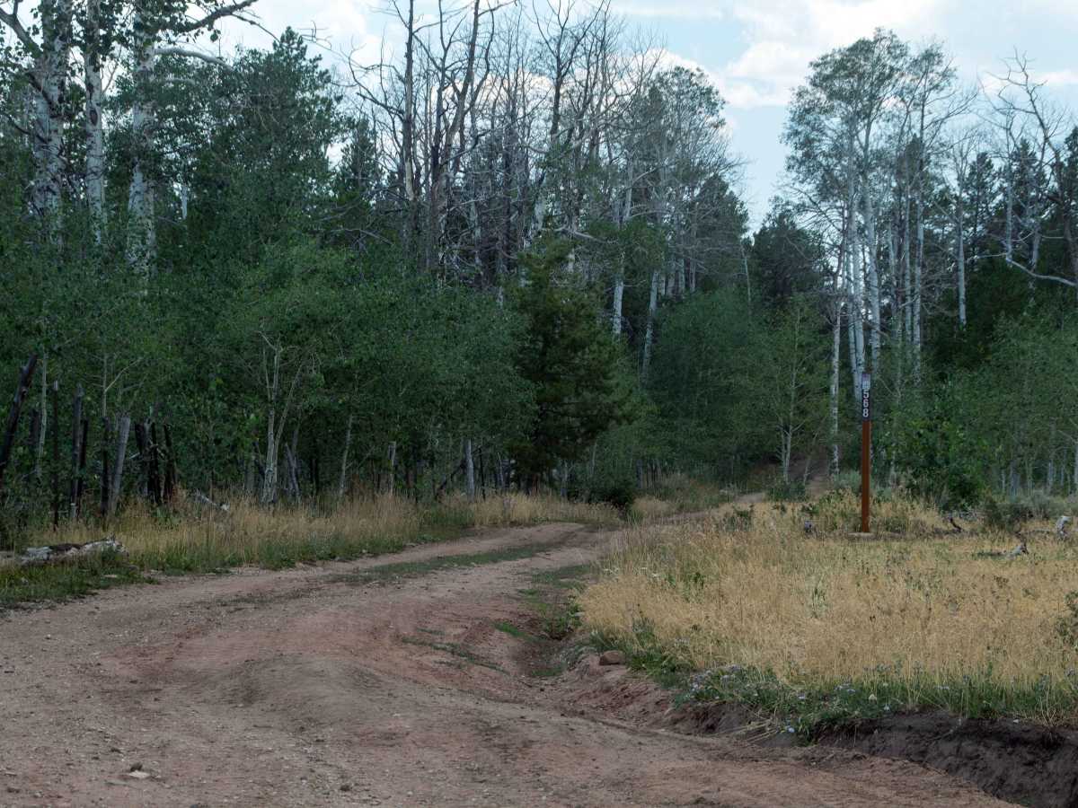 Fence Line - FS10568 photo 4