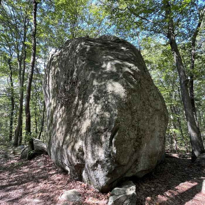 Near Pebble Trail Loop Near Pebble Trail Loop