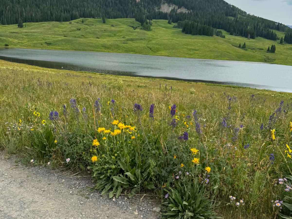 Flat Tops Trail photo 6