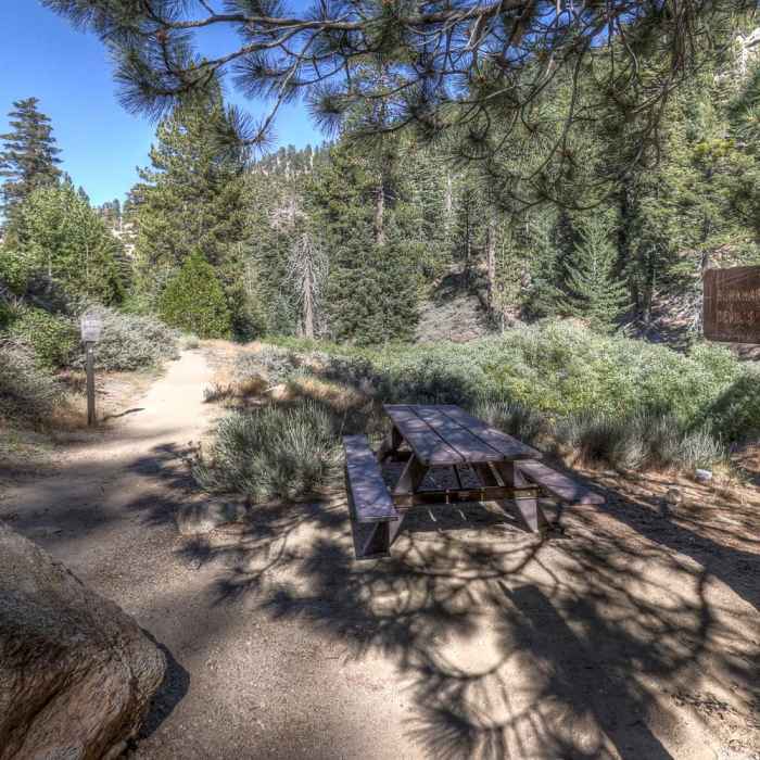 Near Cooper Canyon Falls Out and Back