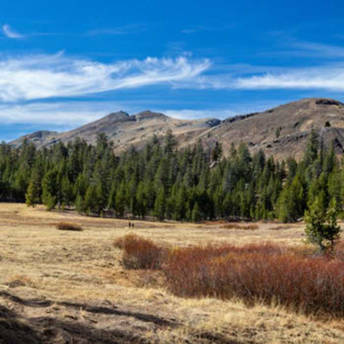 Near Wolf Creek Trail #20E02