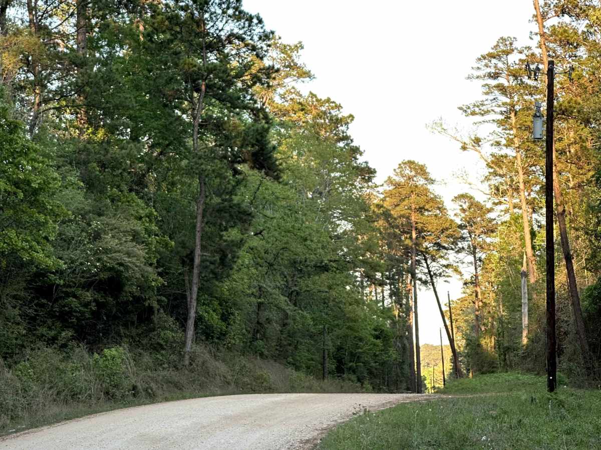 County Road 1190 trail photo