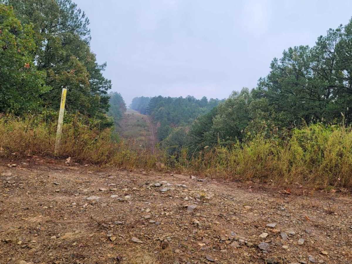 Talley Mountain photo 4